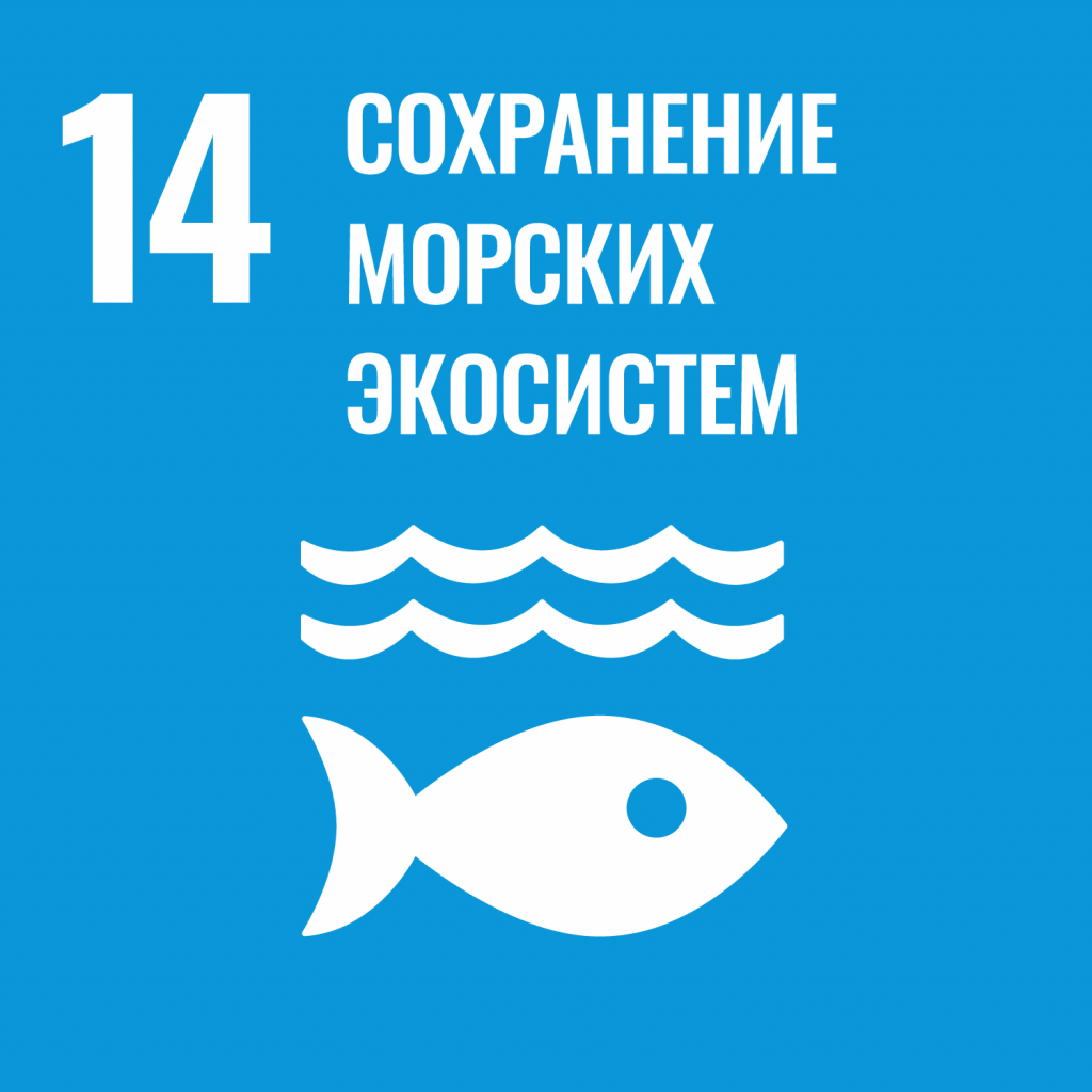 Сохранение морских экосистем Сохранение морских экосистем
