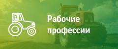 Рабочие профессии