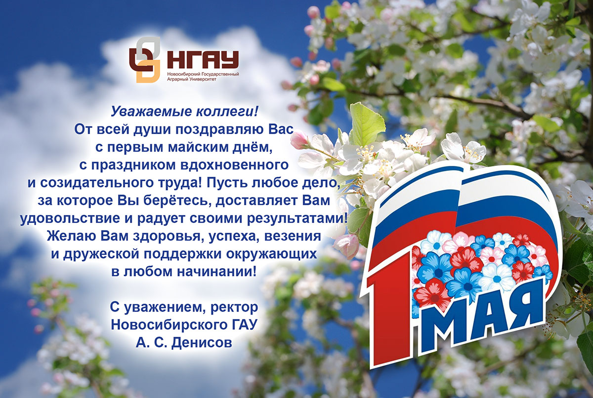 26 мая праздник картинки