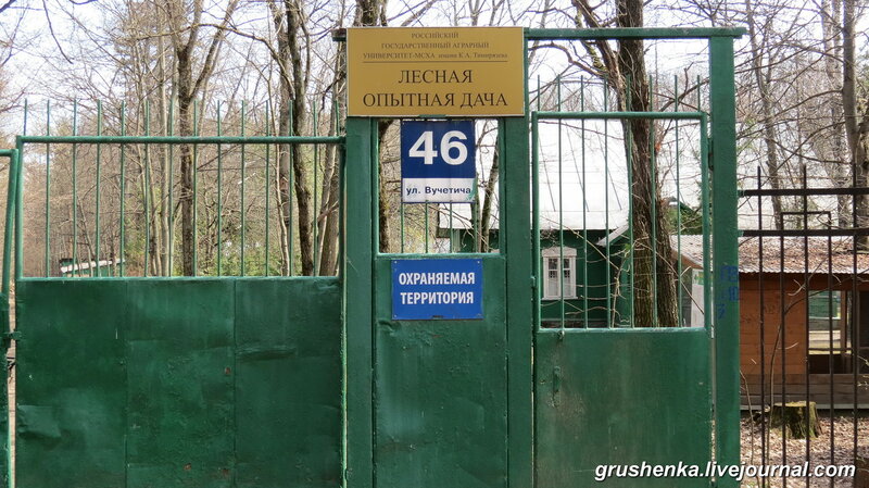 План тимирязевского парка