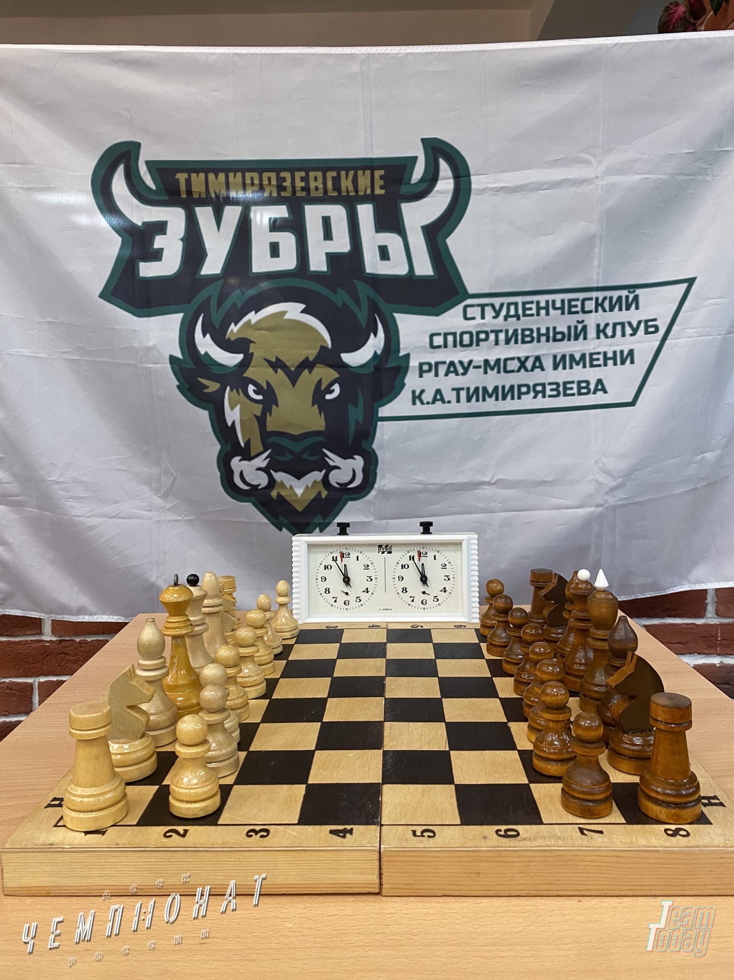 Победитель шахматного турнира
