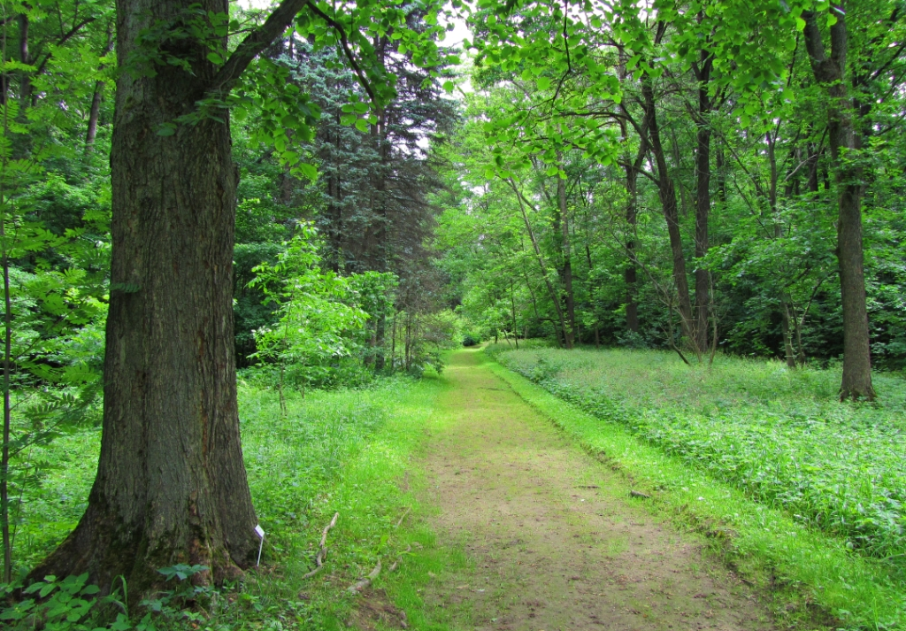 Тимирязевский парк
