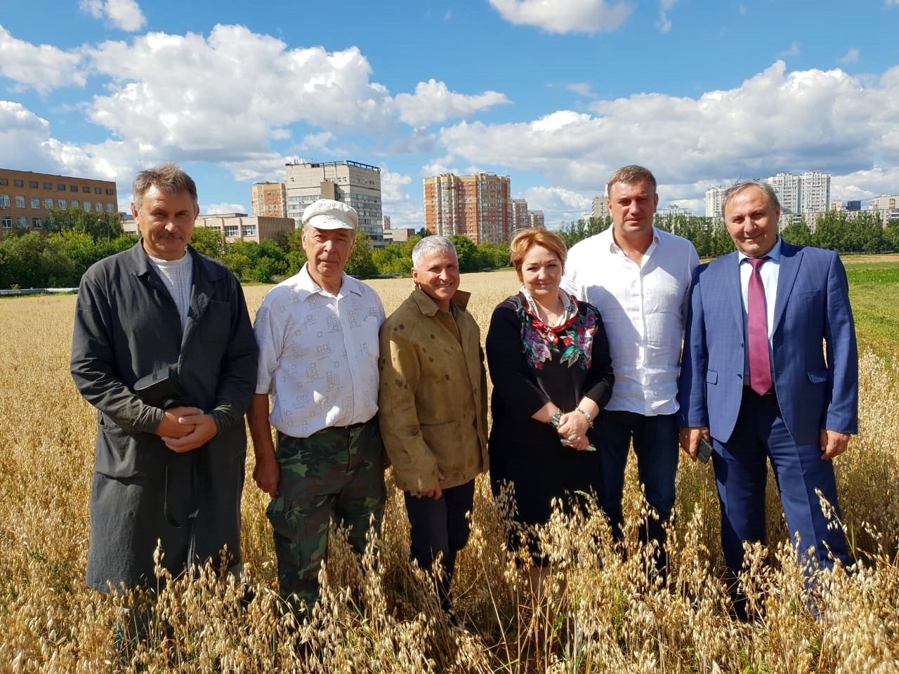 агролеон