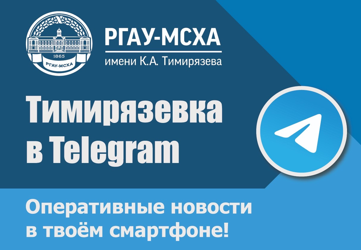 Новостные каналы в telegram. Подпишись на наш телеграмм канал. Поздняков бутылка телеграмм. Теллеегграмм кананалл. Телеграмм канал.