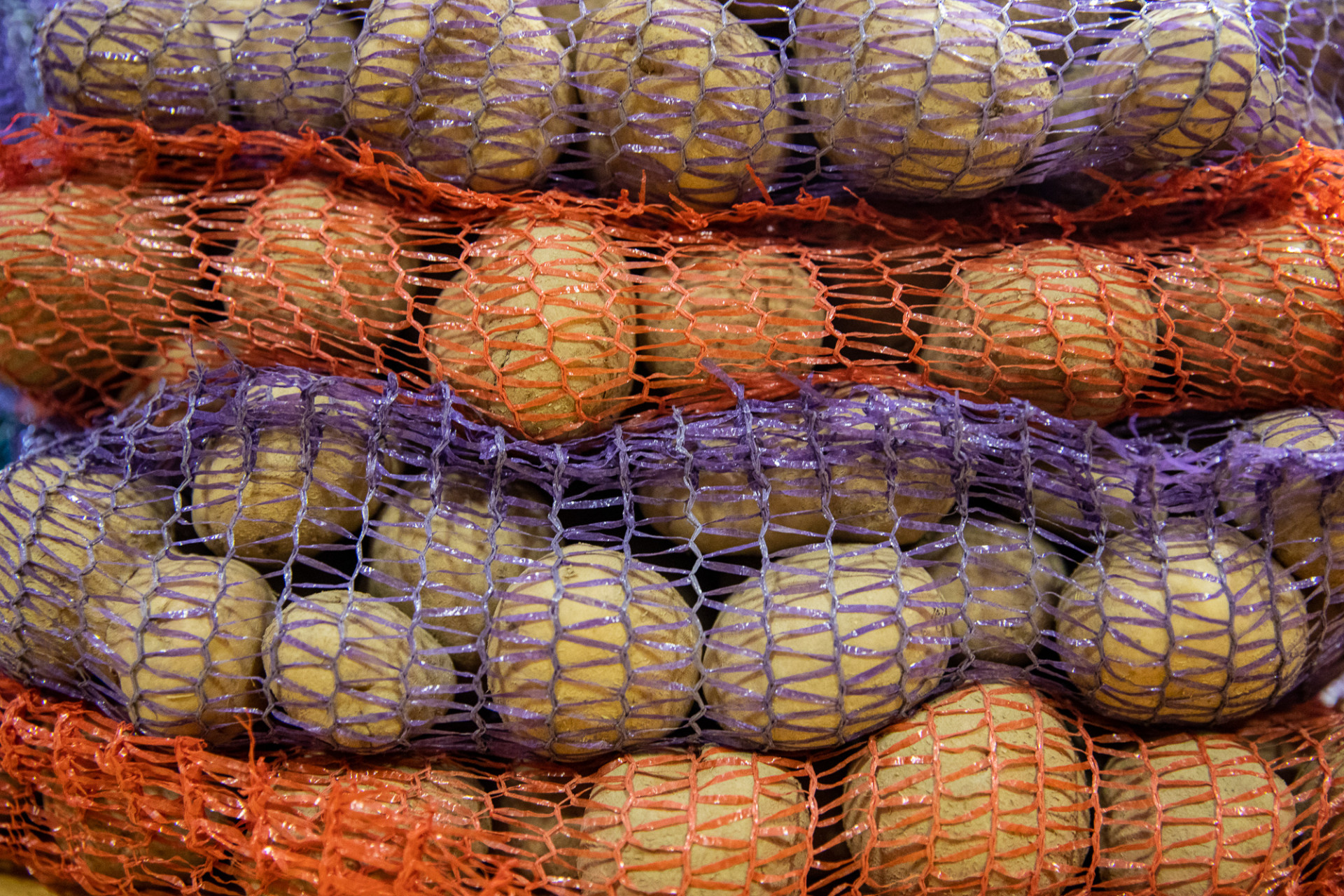 картофелеводство селекция семеноводство. картофель в тимирязевской академии. тимирязевская академия гидропоника. сорт мелкой картошки. картофель розара элита семенной.