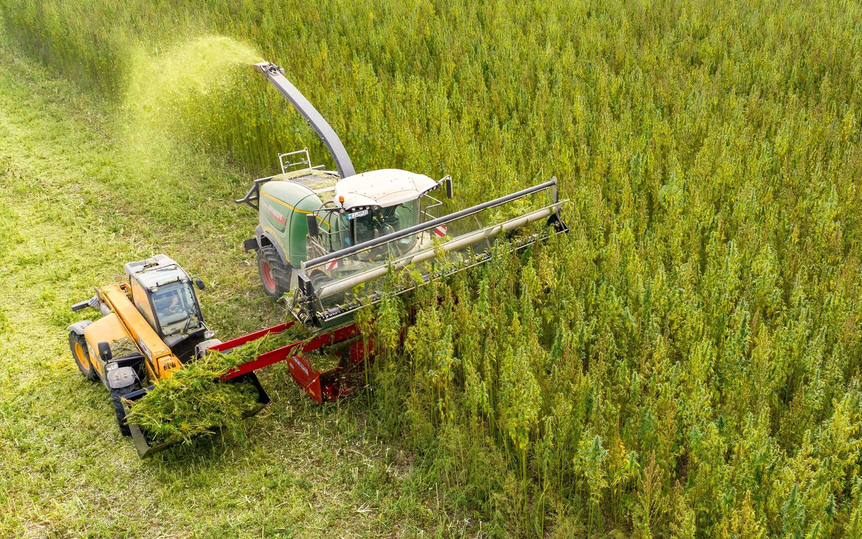 татарский нии сельского хозяйства. поздравляем с днем российской науки. ученый фото. молодые ученые в лаборатории. агроприбор.